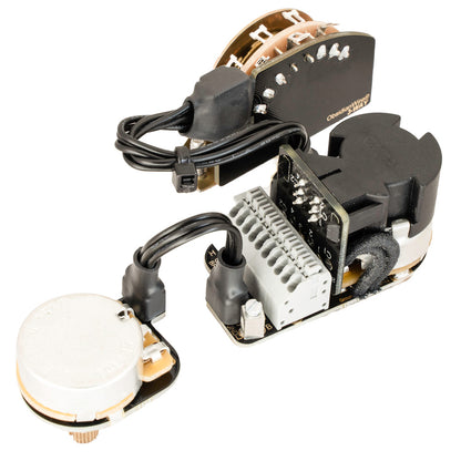 M2-S | Two Pickup Wiring | S-Type | Rear Mount